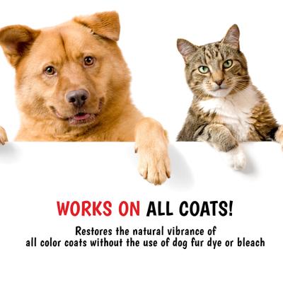 Show full view: Warren London Magic White Cherry Scented Brightening Dog Shampoo, 1-gal slide 7 of 9