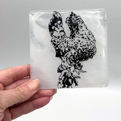 Show full view: Kiku Custom Handmade Pet Portrait Fused Glass Coaster, Black Print on Clear-White Glass, 4-in x 4-in slide 5 of 5