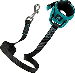 Gooby Neoprene Wrist Band Dog Leash, Turquoise, 6-ft
