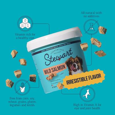 Show full view: Stewart Wild Salmon Single Ingredient Freeze-Dried Dog Treats, 9.5-oz tub slide 6 of 11