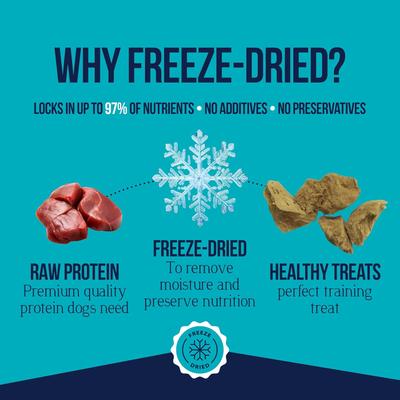 Show full view: Stewart Chicken Liver Single Ingredient Freeze-Dried Raw Dog Treats, 1.5-oz tub slide 5 of 11