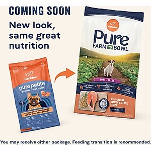 CANIDAE PURE Petite Adult Small Breed Grain-Free with Salmon Dry Dog Food, 10-lb bag