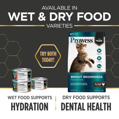 Show full view: Nulo Prowess Bright Beginnings Kitten Dry Cat Food, 3.5-lb bag slide 10 of 12