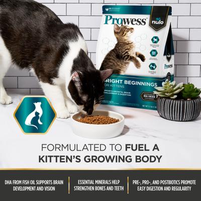 Show full view: Nulo Prowess Bright Beginnings Kitten Dry Cat Food, 3.5-lb bag slide 4 of 12