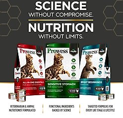 Nulo Prowess Bright Beginnings Kitten Dry Cat Food, 6-lb bag slide 2 of 9