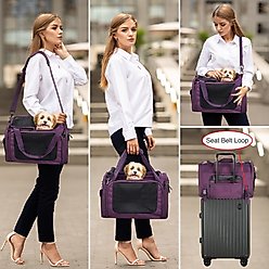 EliteField Deluxe Soft-Sided Airline-Approved Dog & Cat Carrier Bag, Purple, 20-in slide 2 of 7