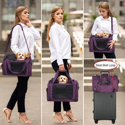 Show full view: EliteField Deluxe Soft-Sided Airline-Approved Dog & Cat Carrier Bag, Purple, 20-in slide 3 of 8