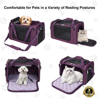 Show full view: EliteField Deluxe Soft-Sided Airline-Approved Dog & Cat Carrier Bag, Purple, 20-in slide 2 of 8
