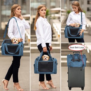 EliteField Deluxe Soft-Sided Airline-Approved Dog & Cat Carrier Bag, Blue Gray, 18-in