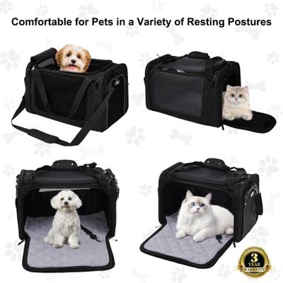 Show full view: EliteField Deluxe Soft-Sided Airline-Approved Dog & Cat Carrier Bag, Black, 20-in slide 2 of 8