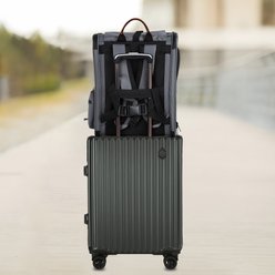 EliteField Deluxe Airline-Approved Backpack Dog & Cat Carrier, Gray, Large slide 2 of 6