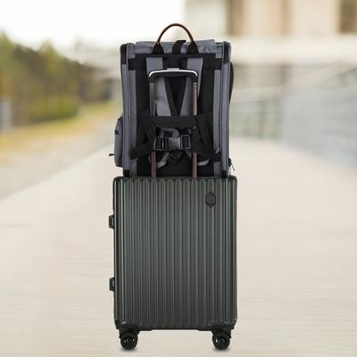 Show full view: EliteField Deluxe Airline-Approved Backpack Dog & Cat Carrier, Gray, Medium slide 5 of 7