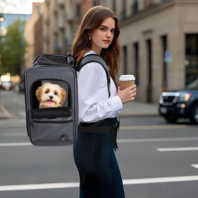 EliteField EliteField Deluxe Airline-Approved Backpack Dog & Cat Carrier, Gray, Medium