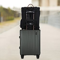 EliteField Deluxe Airline-Approved Backpack Dog & Cat Carrier, Black, Large slide 2 of 6