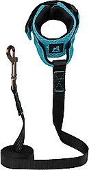 Gooby Mesh Hands-Free Wrist Band Dog Leash, Turquoise, Regular: 6-ft long, 1.5-in wide
