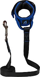 Gooby Mesh Hands-Free Wrist Band Dog Leash, Blue, Regular: 6-ft long, 3/4-in wide