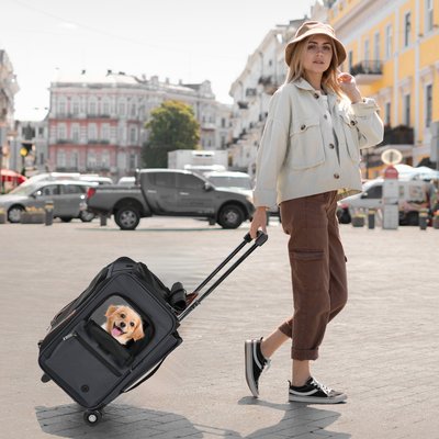 EliteField EliteField Deluxe Airline-Approved Rolling Backpack Dog & Cat Carrier, Gray, Medium