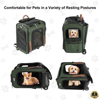 Show full view: EliteField Deluxe Airline-Approved Rolling Backpack Dog & Cat Carrier, Army Green, Large slide 2 of 6