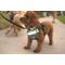 Show in main carousel: Lumi Pawtners Lumi One Dog Harness, Black, X-Small: 6 to 12-in chest slide 2 of 7