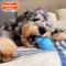 Show in main carousel: Nylabone Strong Rubber Stuffable Cone Treat Bacon Tough Dog Chew Toy, Blue, Large slide 2 of 10