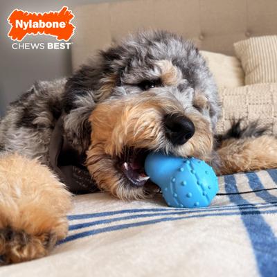 Show full view: Nylabone Strong Rubber Stuffable Cone Treat Bacon Tough Dog Chew Toy, Blue, Large slide 2 of 10