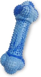 Nylabone Strong Double Action Bone Peanut Butter Tough Dog Chew Toy, Large slide 2 of 9