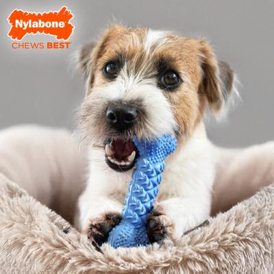 Show full view: Nylabone Strong Rubber Braid Bone Peanut Butter Tough Dog Chew Toy, Medium slide 3 of 12