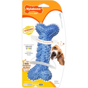 Benebone Bacon Flavor Wishbone Tough Dog Chew Toy