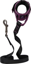Gooby Easy Fit Wrist Band Neoprene Running Dog Leash, 6-ft long, 1.5-in wide, Purple