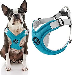 Gooby Memory Foam Step In Dog Harness, Turquoise, Medium: 16.5 to 20.25-in chest