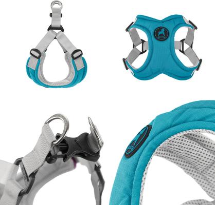 Show full view: Gooby Memory Foam Step In Dog Harness, Turquoise, Small: 14.5 to 17.75-in chest slide 3 of 7