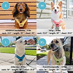 Gooby Memory Foam Step In Dog Harness, Green, Small: 14.5 to 17.75-in chest slide 2 of 6