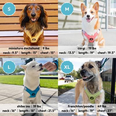 Show full view: Gooby Memory Foam Step In Dog Harness, Yellow, Large: 19 to 23.5-in chest slide 6 of 6