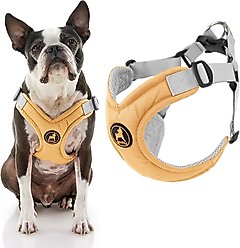 Gooby Memory Foam Step In Dog Harness, Yellow, Large: 19 to 23.5-in chest