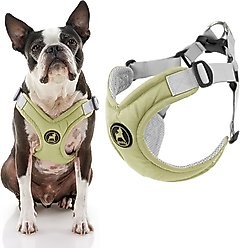 Gooby Memory Foam Step In Dog Harness, Green, Medium: 16.5 to 20.25-in chest