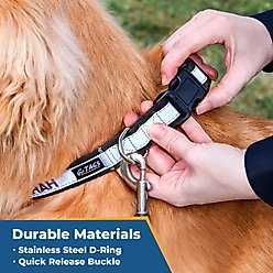 GoTags Nylon Personalized Reflective Nylon Dog Collar, Hunter Green, Large: 17 to 27.5-in neck, 1-in wide slide 2 of 5