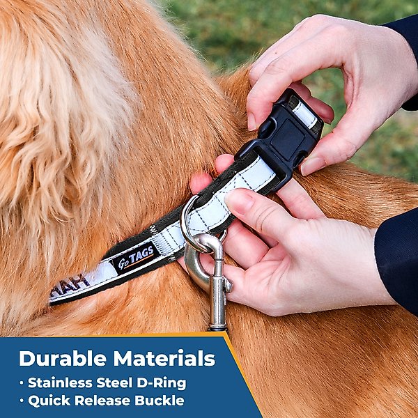 Show full view: GoTags Nylon Personalized Reflective Nylon Dog Collar, Light Gray, Medium: 14 to 20.5-in neck, 3/4-in wide slide 6 of 7