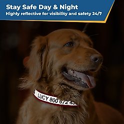 GoTags Nylon Personalized Reflective Nylon Dog Collar, Charcoal, Medium: 14 to 20.5-in neck, 3/4-in wide slide 2 of 6