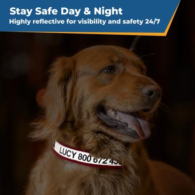 Show full view: GoTags Nylon Personalized Reflective Nylon Dog Collar, Beige, Large: 17 to 27.5-in neck, 1-in wide slide 5 of 7