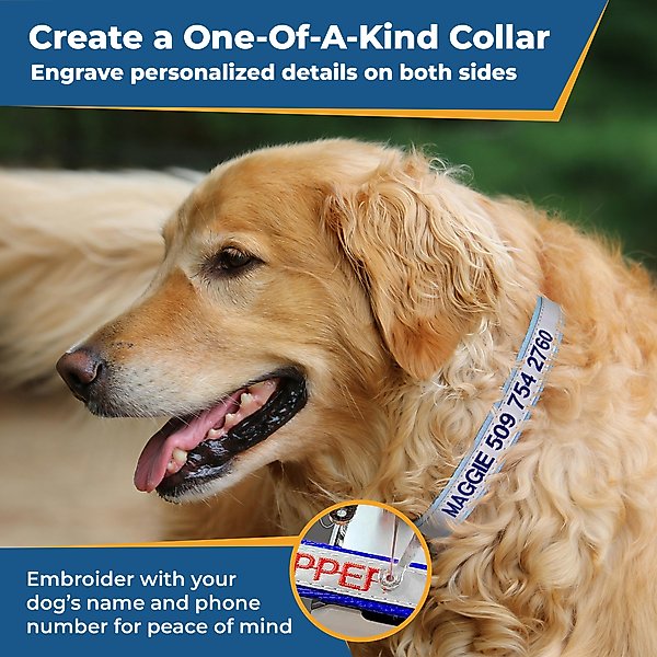 Show full view: GoTags Nylon Personalized Reflective Nylon Dog Collar, Light Gray, Medium: 14 to 20.5-in neck, 3/4-in wide slide 2 of 7