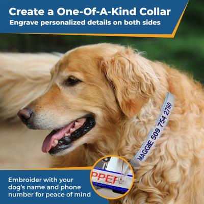 Show full view: GoTags Nylon Personalized Reflective Nylon Dog Collar, Beige, Large: 17 to 27.5-in neck, 1-in wide slide 2 of 7