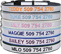 GoTags Nylon Personalized Reflective Nylon Dog Collar, Lavender, Medium: 14 to 20.5-in neck, 3/4-in wide