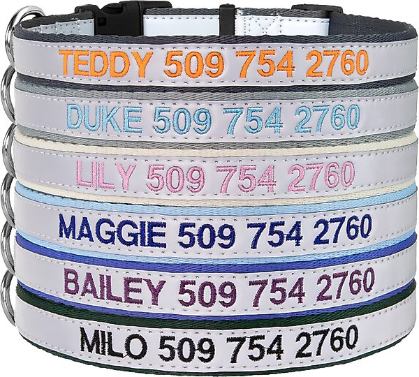 Show full view: GoTags Nylon Personalized Reflective Nylon Dog Collar, Light Gray, Medium: 14 to 20.5-in neck, 3/4-in wide slide 1 of 7