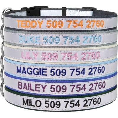 GoTags GoTags Nylon Personalized Reflective Nylon Dog Collar, Light Gray, Small: 11 to 16.5-in neck, 5/8-in wide