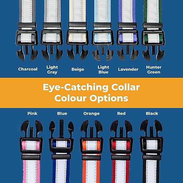Show full view: GoTags Reflective Adjustable Personalized Nameplate Dog Collar, Pink, Medium: 14 to 20-in neck, 3/4-in wide slide 4 of 7