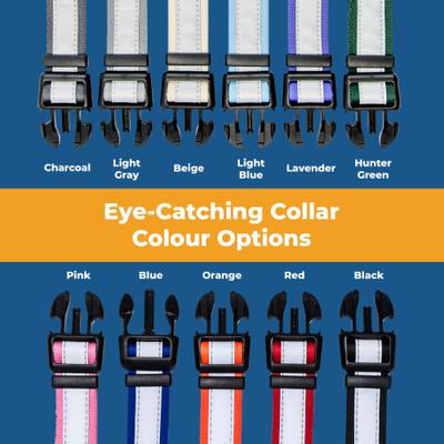 Show full view: GoTags Reflective Adjustable Personalized Nameplate Dog Collar, Orange, Small: 11 to 16-in neck, 5/8-in wide slide 4 of 8
