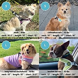 Gooby Simple Step In III Dog Harness, Green, Small: 14.25 to 17-in chest slide 2 of 6