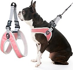 Gooby Simple Step In III Dog Harness, Pink, Small: 14.25 to 17-in chest