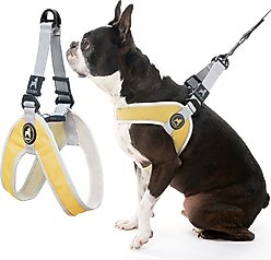 Gooby Simple Step In III Dog Harness, Yellow, Medium: 16.75 to 21.5-in chest