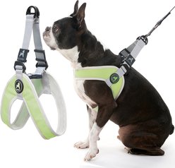 Gooby Simple Step In III Dog Harness, Green, Small: 14.25 to 17-in chest